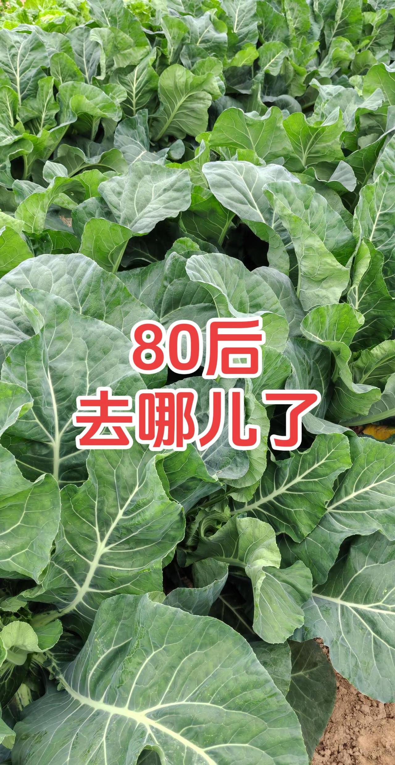 80后这是个真实的事情 8090后 真实还原 太真实了