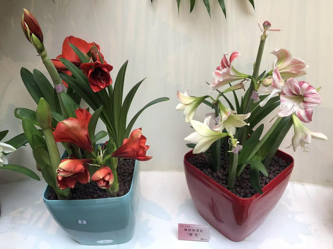 晒图笔记大赛北京中山公园