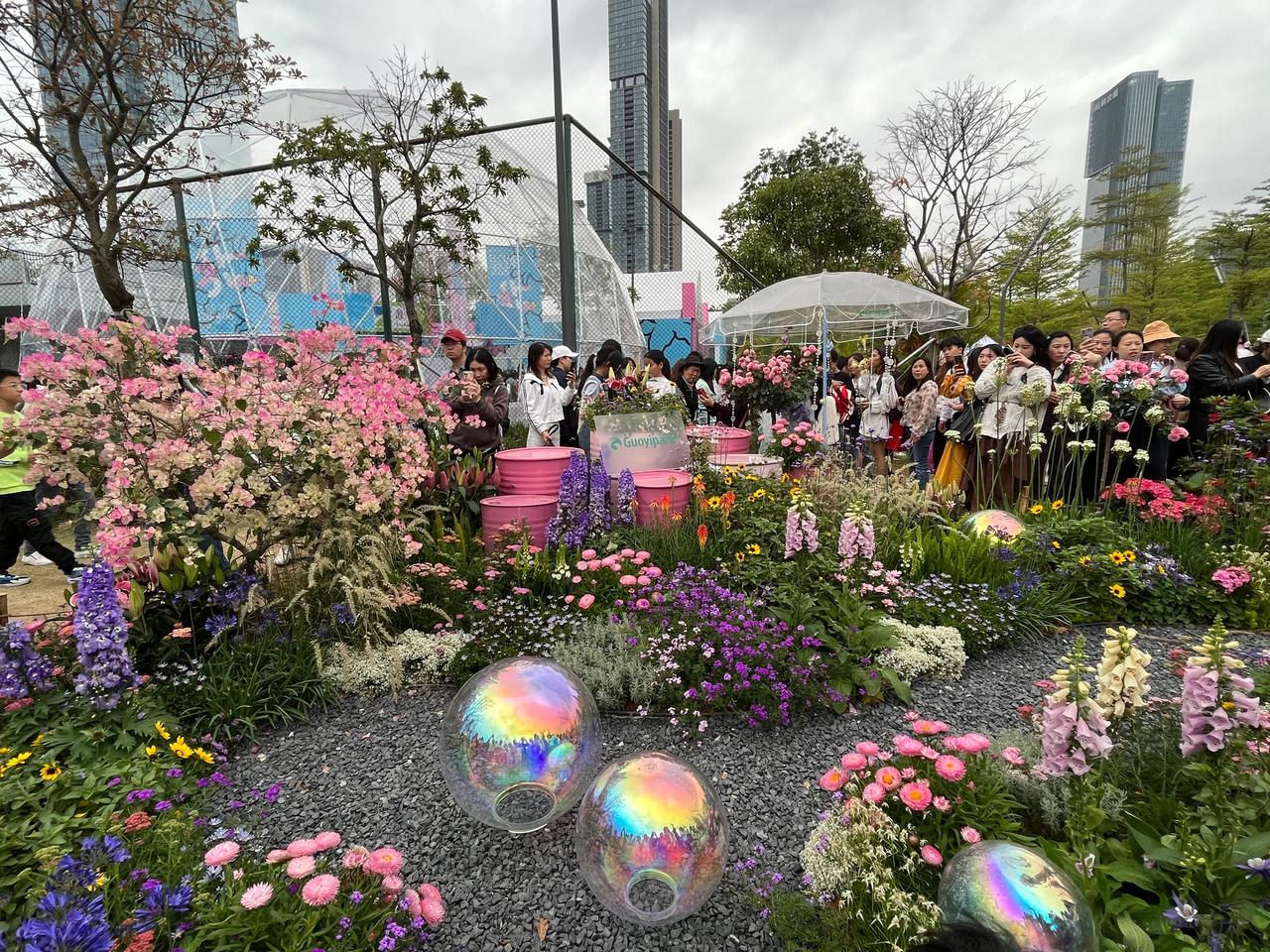 深圳人没有都到笔架山看花展吧？粤港澳大湾区花园大赛 深圳笔架山公园 笔架山体育公