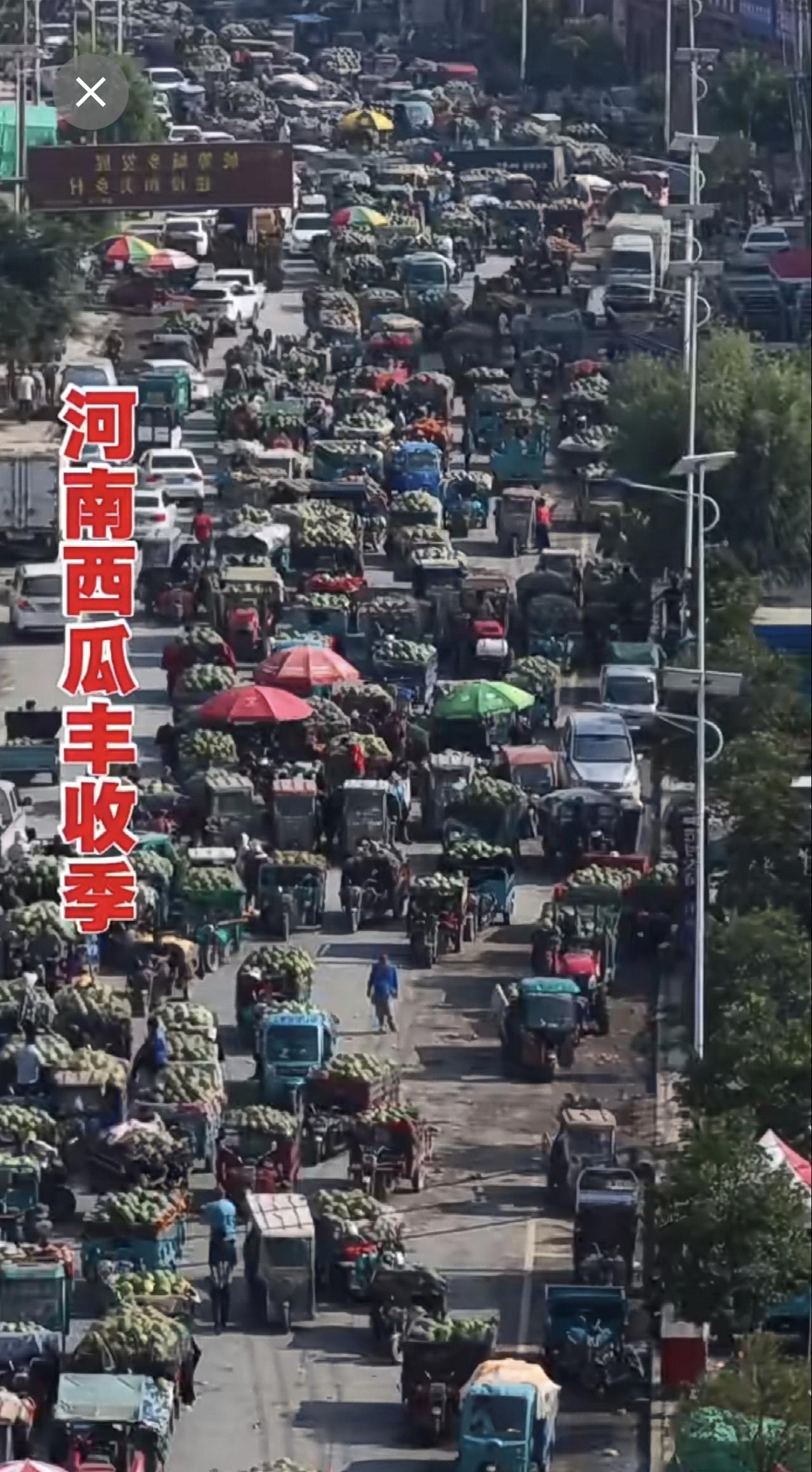 你不是河南人
你不懂西瓜三毛1斤的无助感[流泪]
