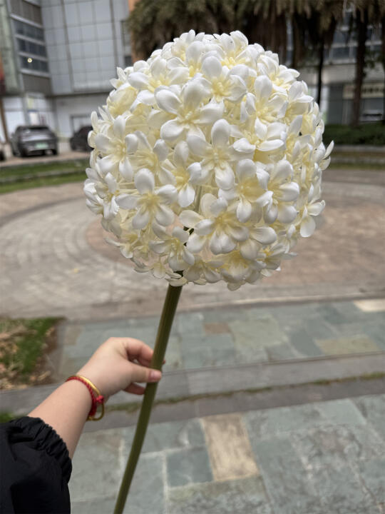 💐仿真花新宠：大大葱球美翻天！