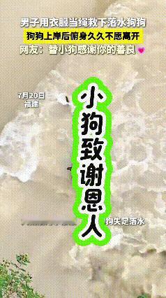 看完这段视频内心十分触动。小狗不慎落入河水，幸运得到好心人救助，脱离危险之后，主