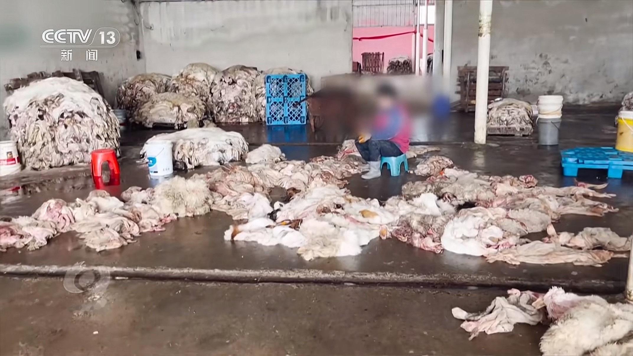 徐州非法排污后续徐州非法排污，当地村民举报两年多了，都没有得到有效处理。一曝光连
