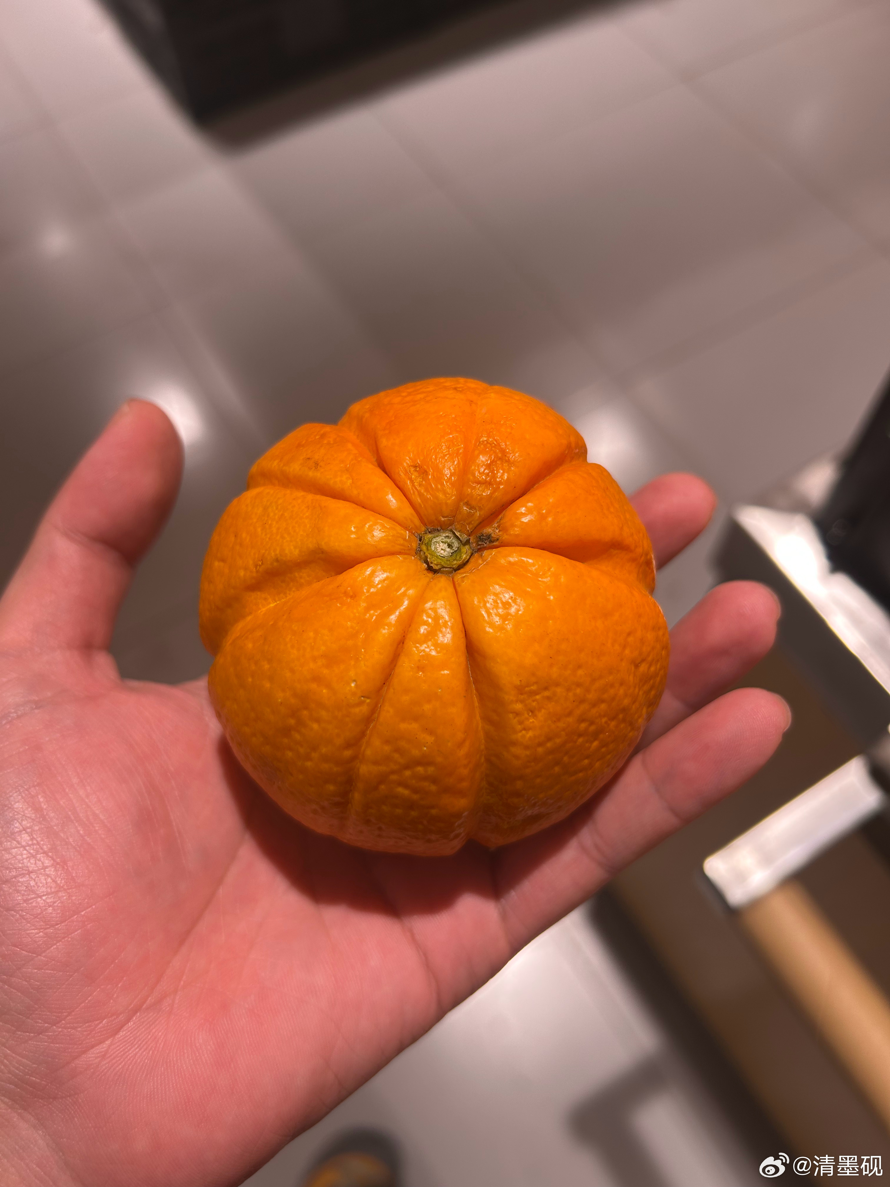 是橙子出了轨，还是南瓜劈了腿？？？ 