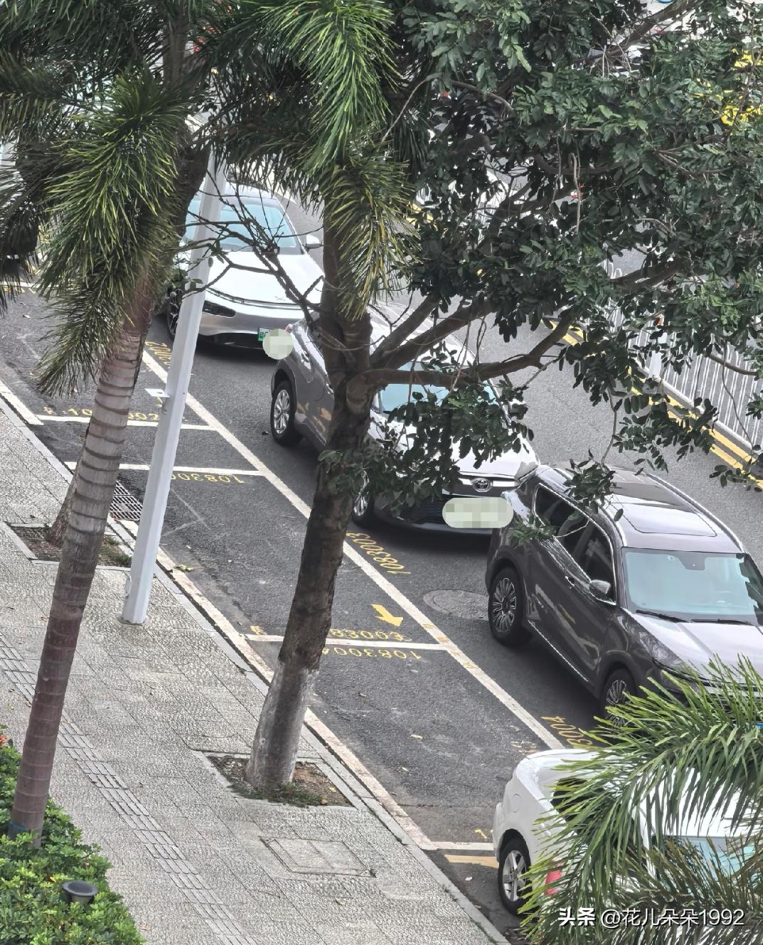 珠海停车，🤣🤣有车位他们为什么不停里面，难道路边收费的停车位收费非常贵吗？