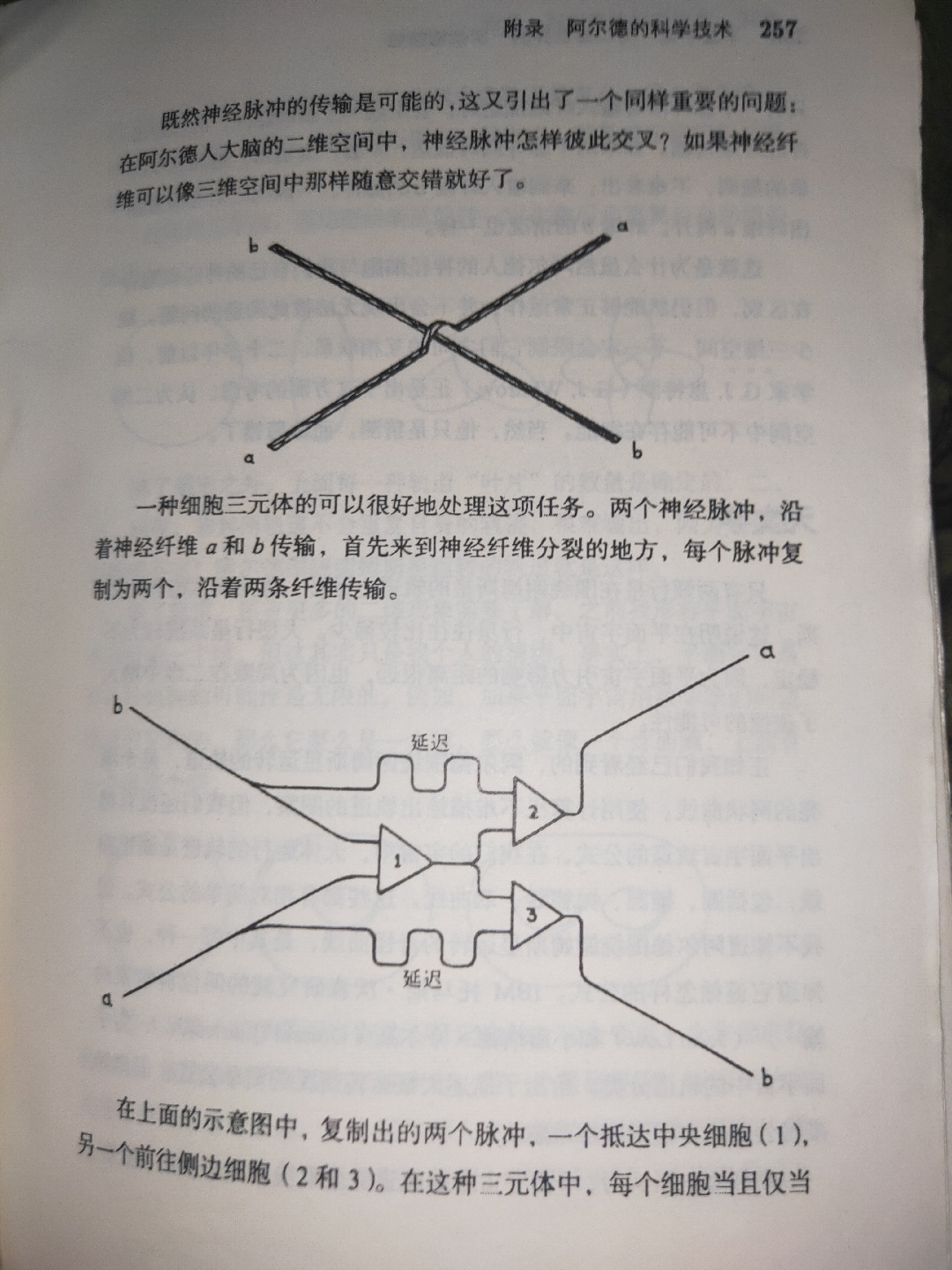 从理论上说，二维生物可能存在吗？ 