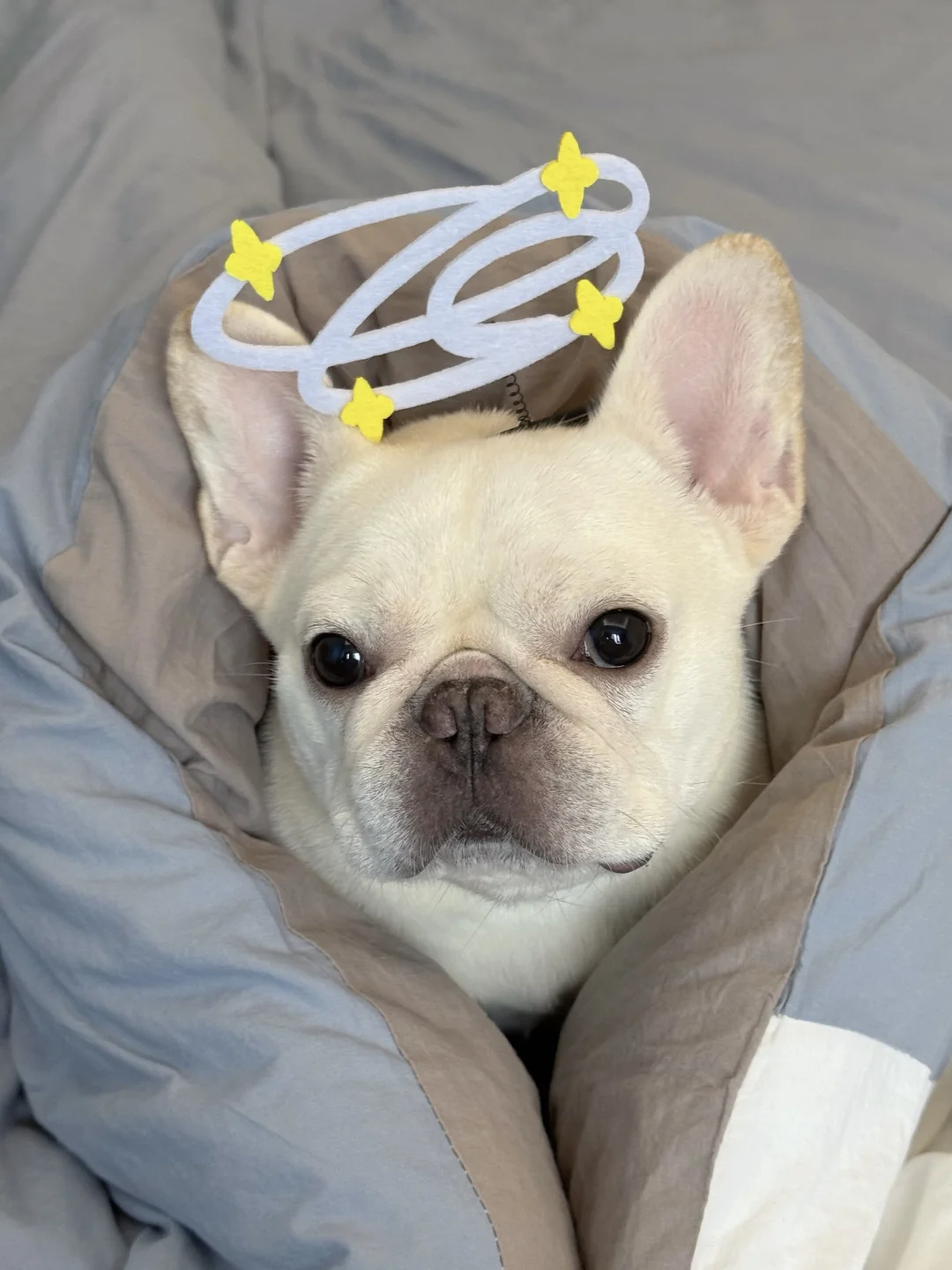 姨姨们，我脑壳睡得发hun（晕）😵‍💫