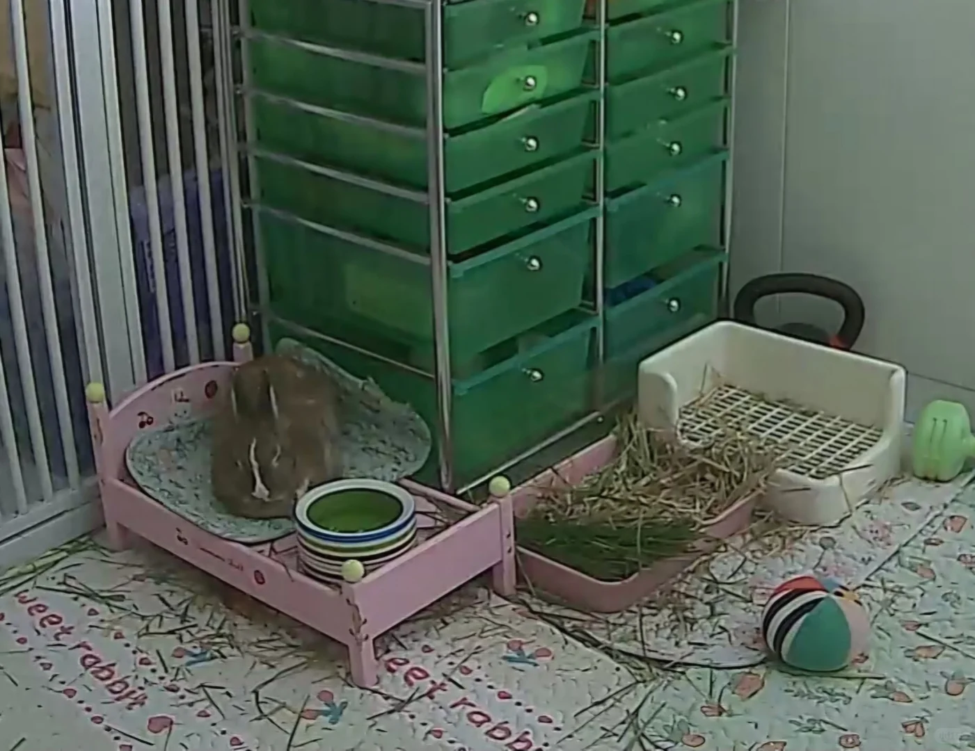 夏天夏天快过去