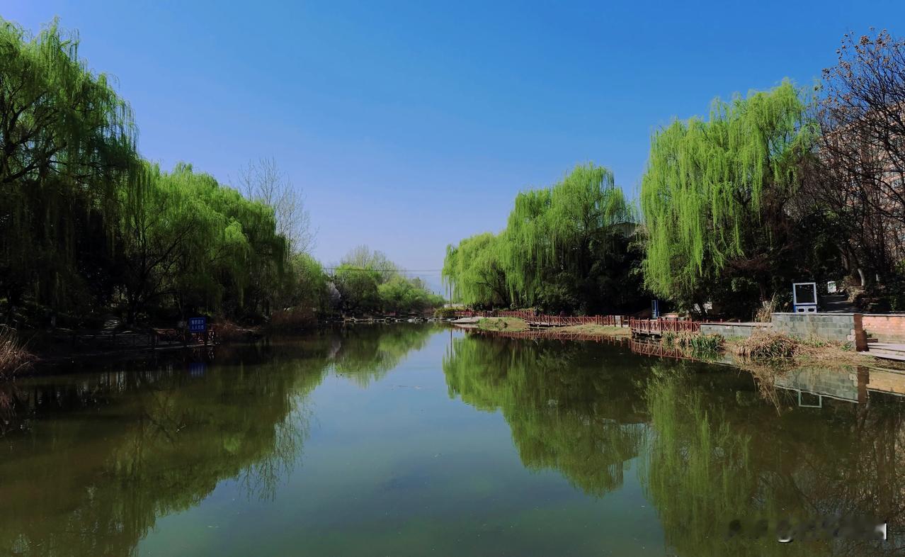 昨天还能畅快欣赏家门口的周至沙河公园，澄澈蓝天、悠悠碧水，今天就被沙尘暴困得没了