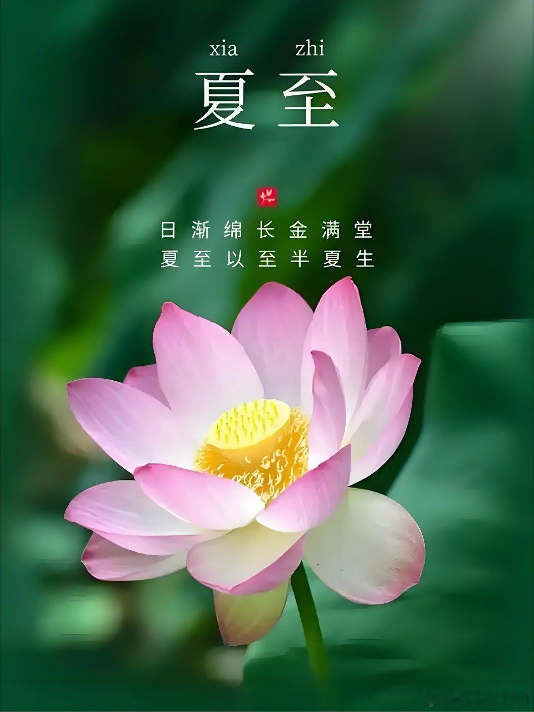 夏至 ​​​