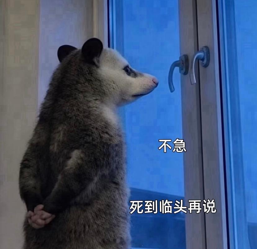 我老大：我们部门都快完犊子了，再这样下去我们部门都要出国旅游一圈儿再回来了。你跑