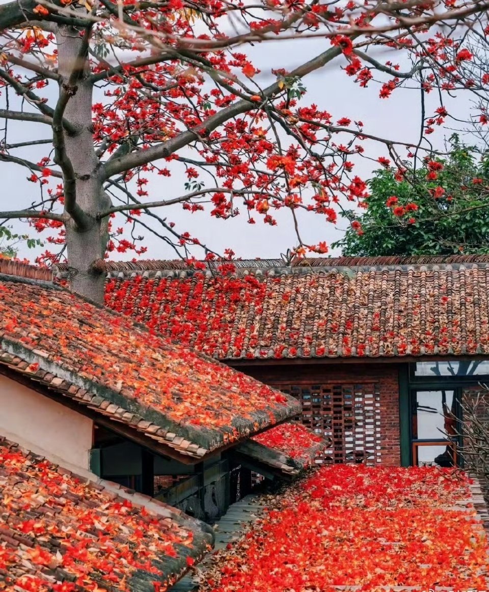 今天是清明节，许多家庭选择在上午前往祖坟祭拜，清理墓地、摆放供品、烧纸钱、上香叩