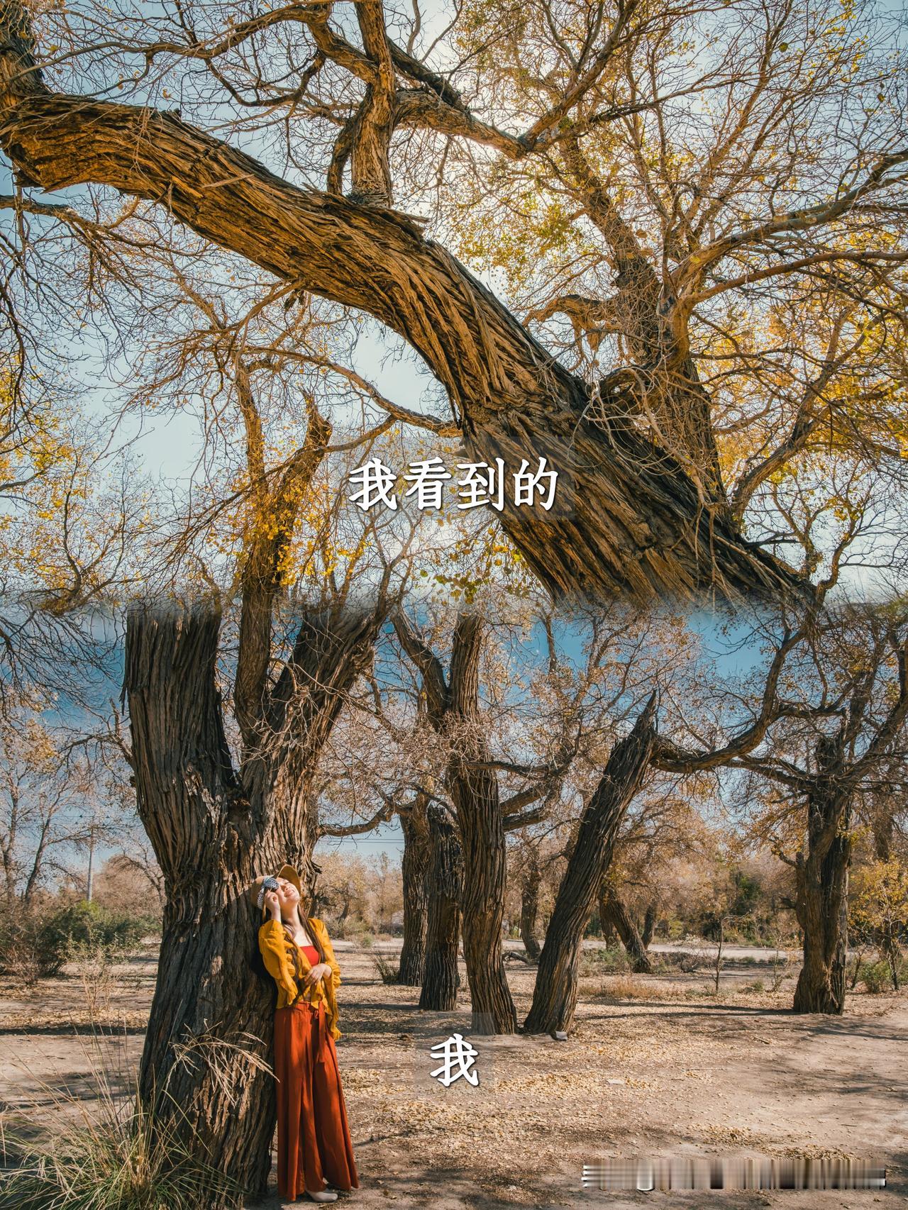 原来秋天的旅行还可以这样记录

我看到的＆我
这样就好像又重新走进了一次秋天🍂