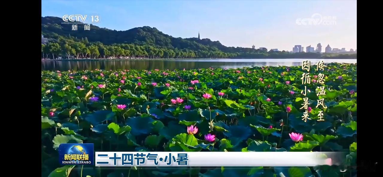小暑 温风至，小暑来。
阴凉在眼前，清风在心间。