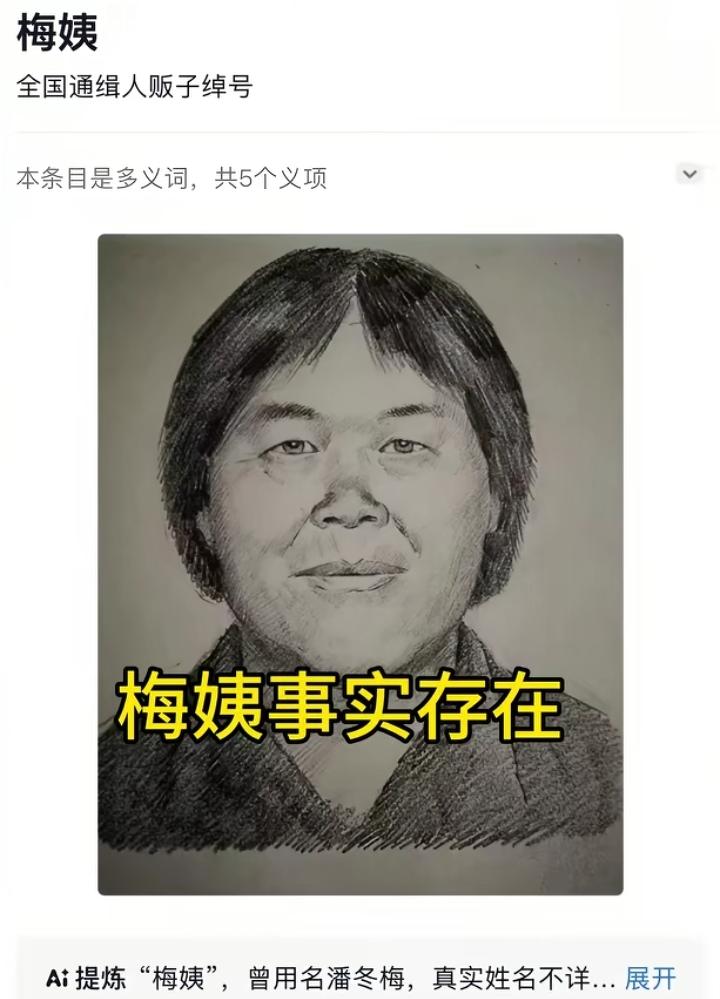 梅姨落网了，外貌平平无奇，一副农村大妈的模样，扔在人堆里丝毫不出众，可想而知抓捕