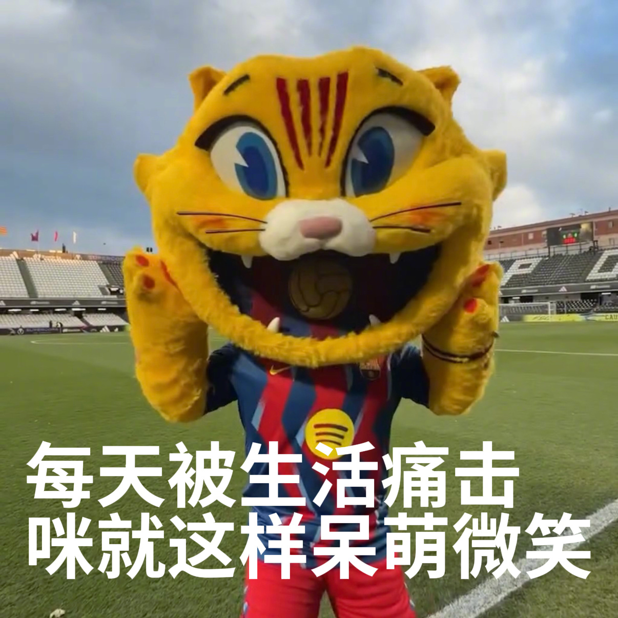 🙀咪的天！咪想人了！这国际比赛日什么时候是个头！巴萨 🔴🔵ForçaBar