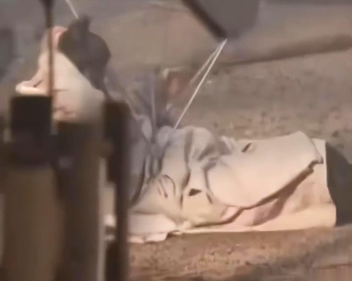 我跟你说，看到那个视频的时候，心都停跳了一拍。
人从屋顶上直挺挺掉下来，后脑勺“