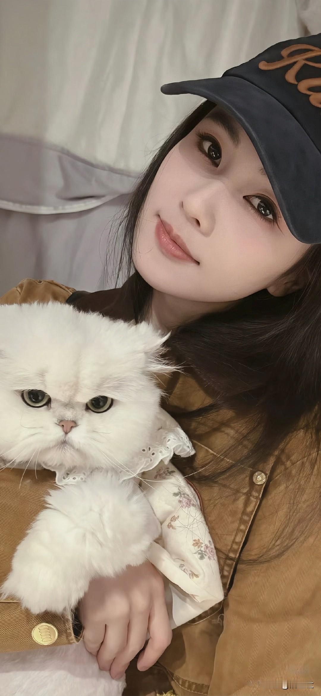 白鹿和这只拽猫同框，一个温柔一个傲娇，看着也太有意思了！