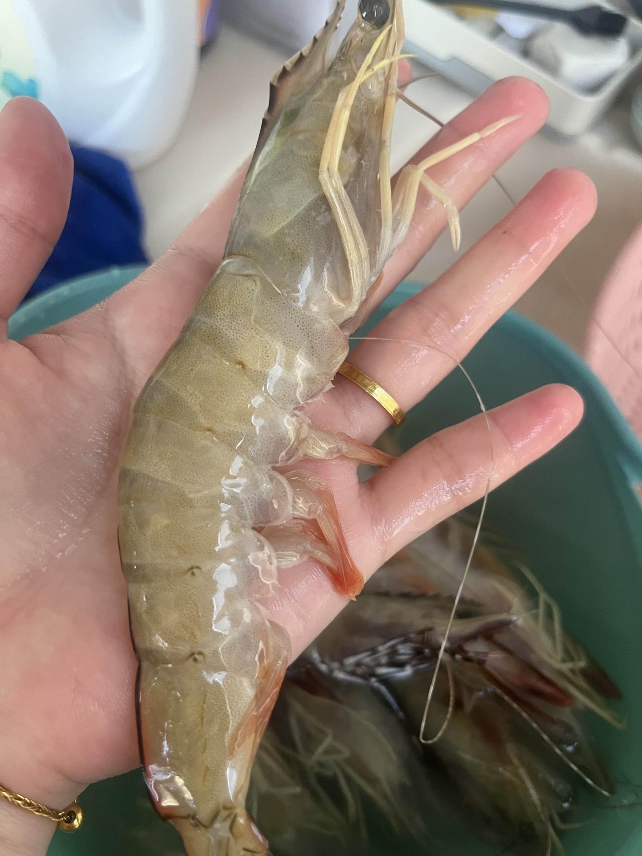 像是吃草长大的海虾🦞，一股子腥味儿。