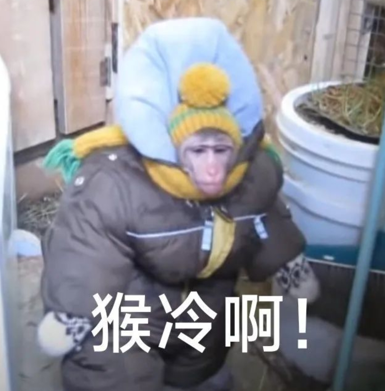 早上好啊，今天广东大降温，冷得我不要不要的。作为正宗的广东人，不能接受 10 度