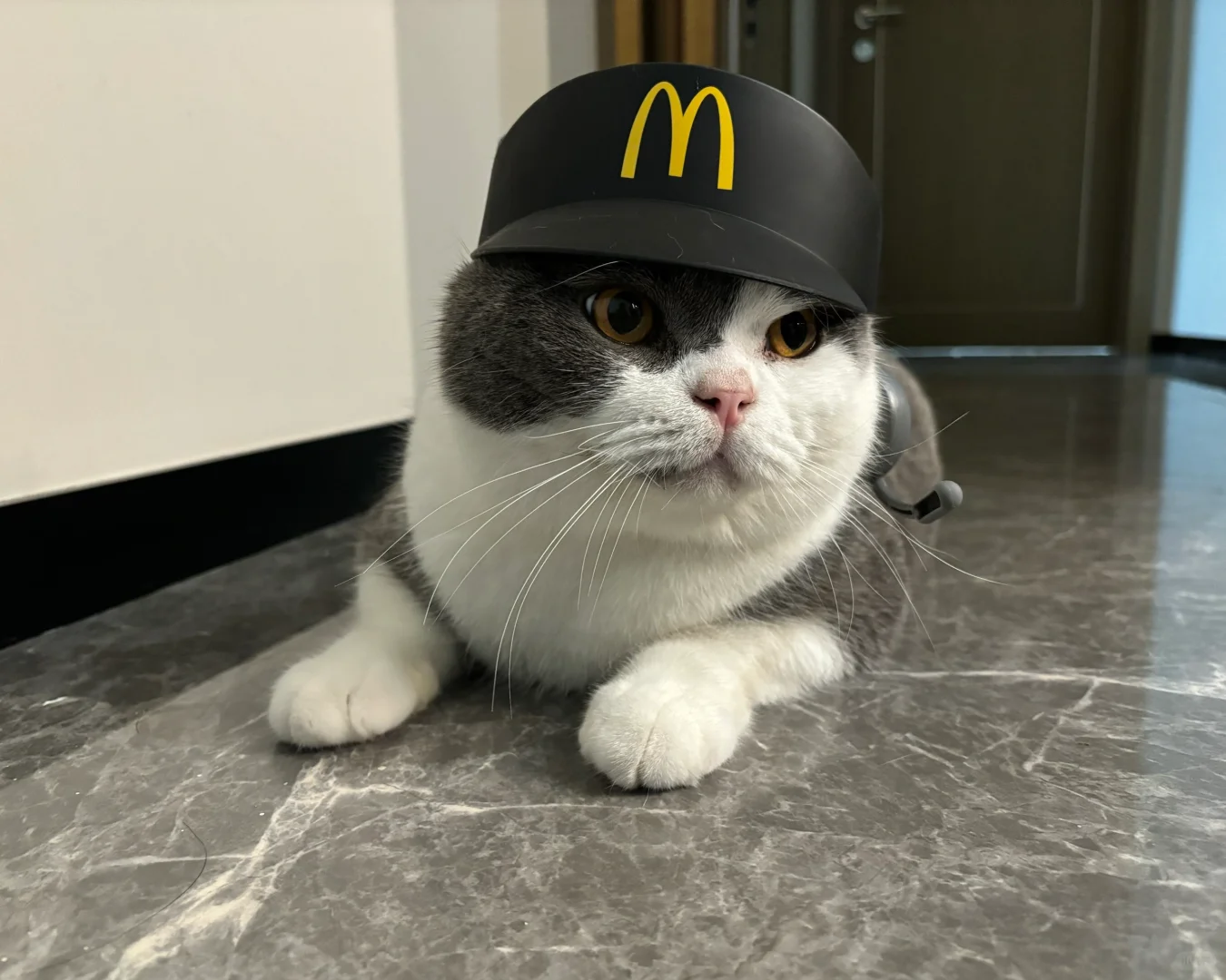 这个班儿终于给他上上了