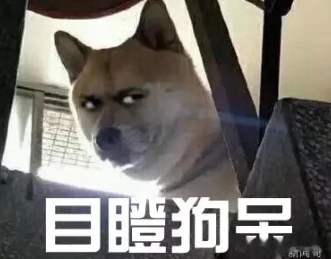 警方再次提醒，任何刷单，约P，交友，购物，下载APP的都要管好自己，控制贪念，色