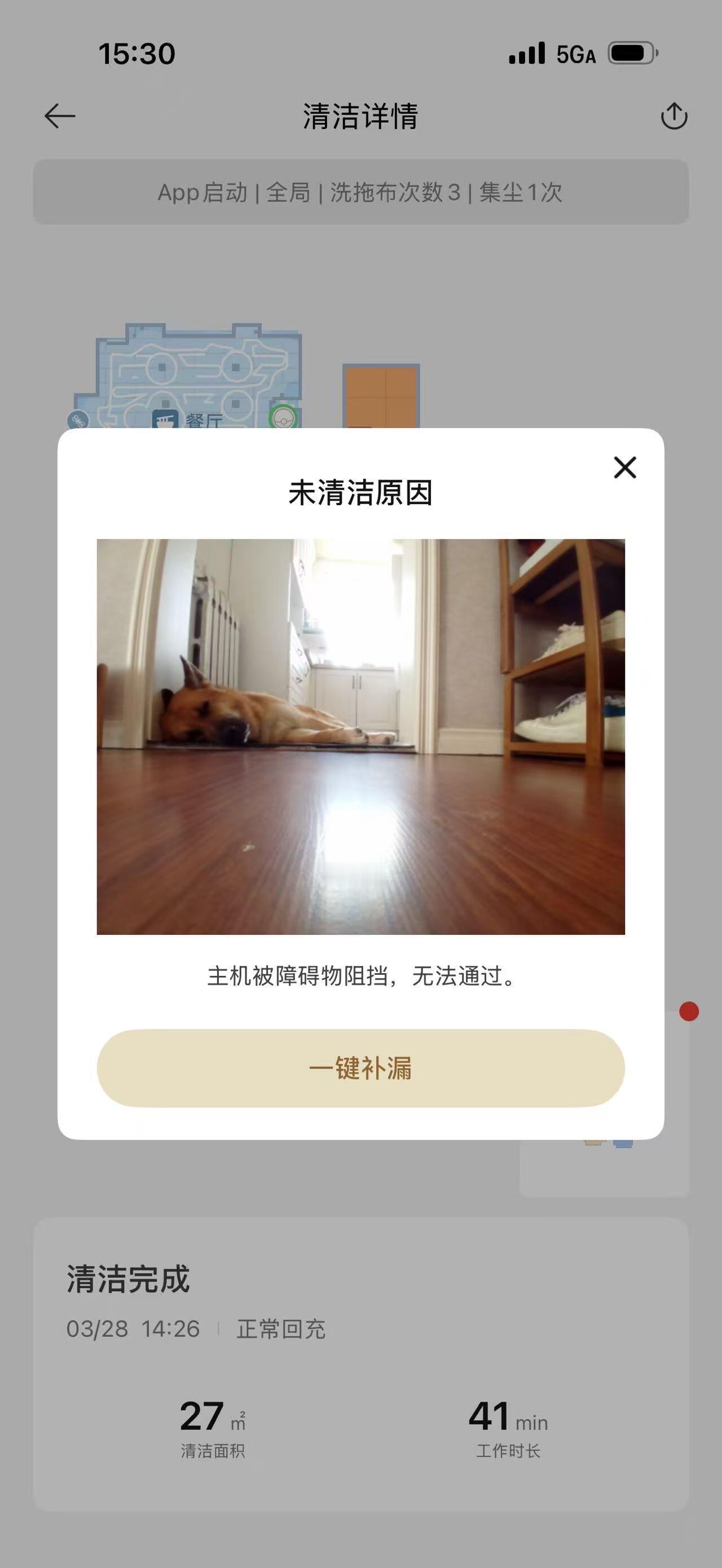 扫地机器人是小狗的摄影师 