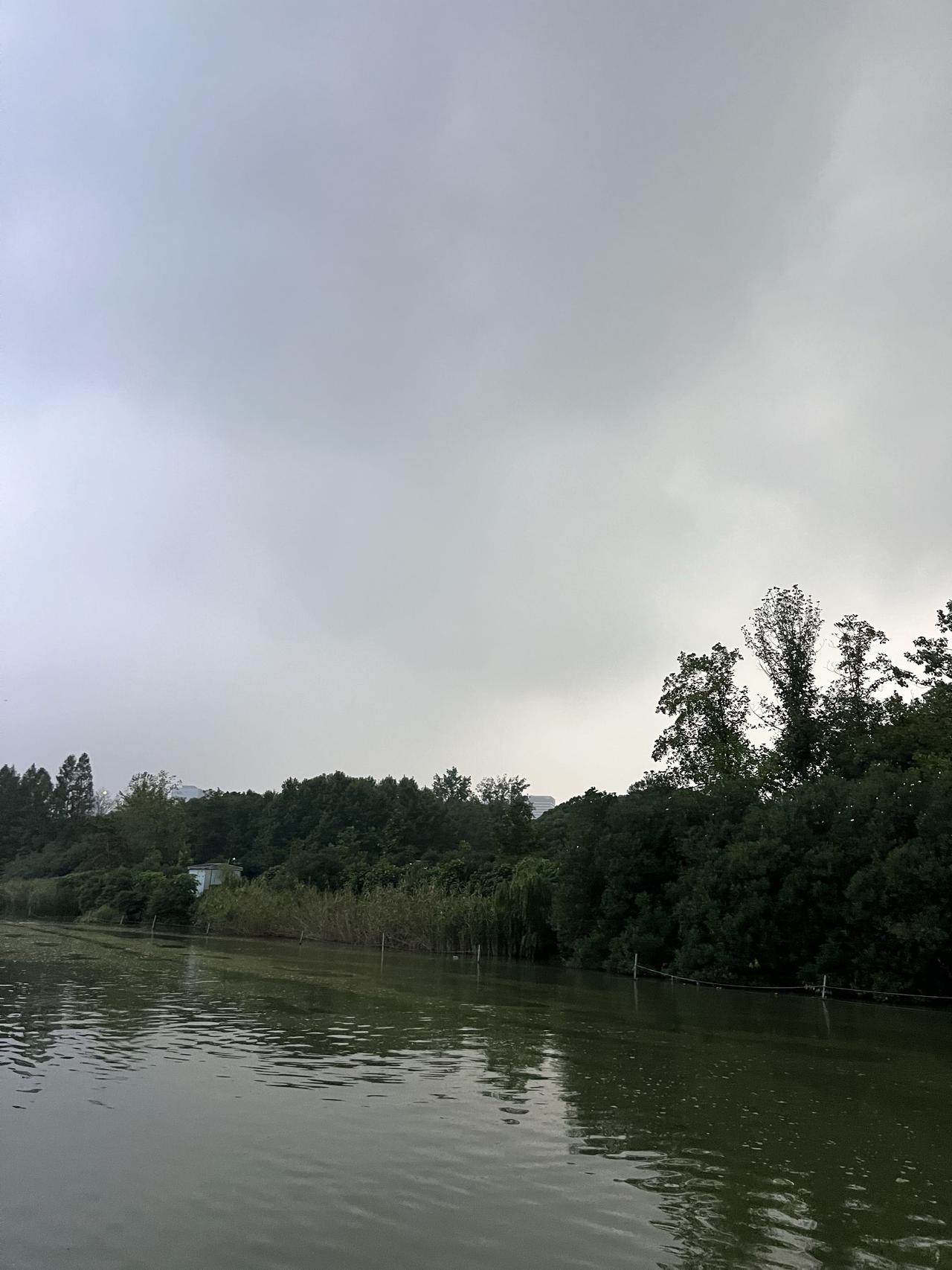 雷暴雨天
天气预报说今天是阴转小雨，不过跑出来，就看到天边有一片不祥的黑云，果不