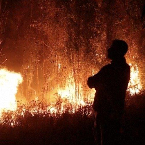 智利大火致20死 车厘子园被烧过半 春节前价格要大涨？
 
刚实现车厘子自由没几