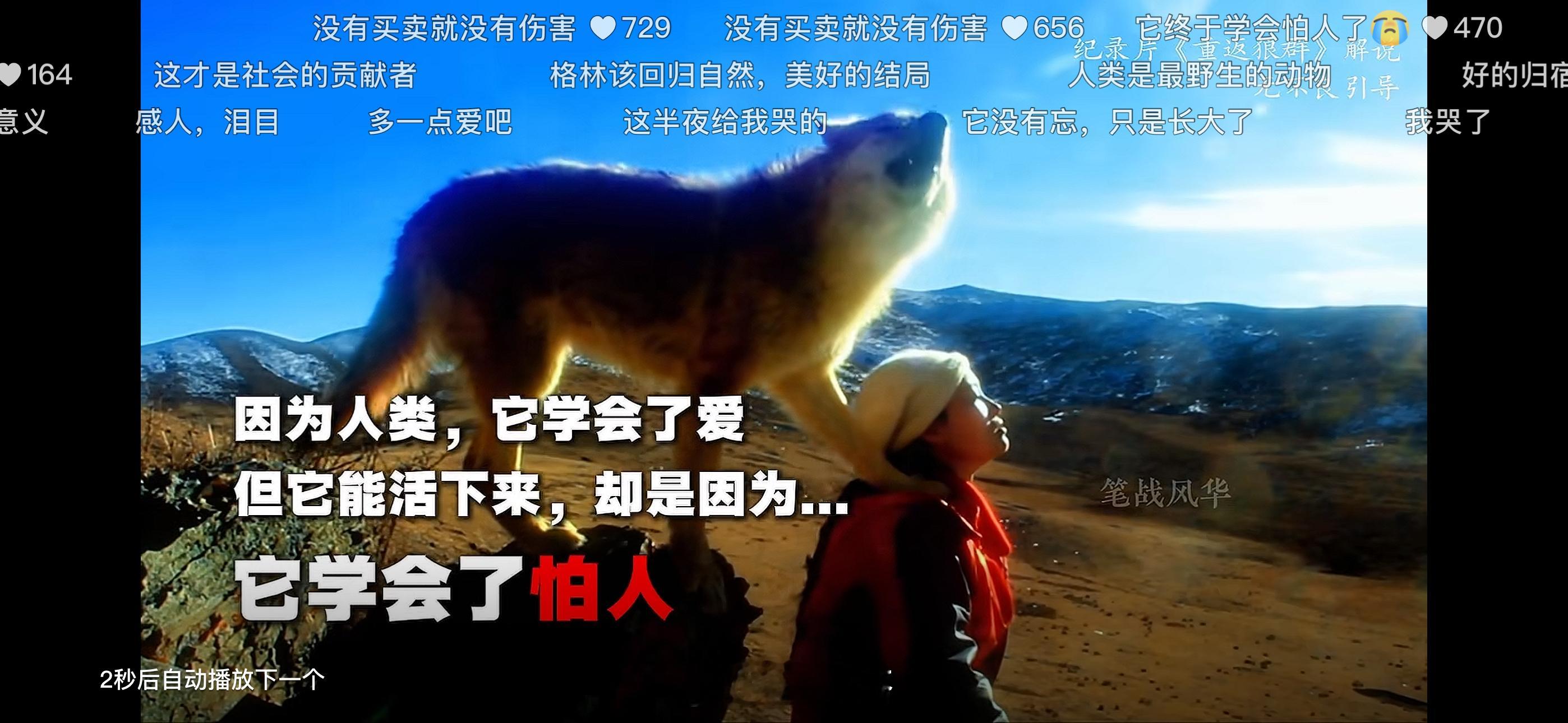 我不允许还有人不知道，格林。我的前半生就是格林，只是，我从未遇见过我的李微漪。我