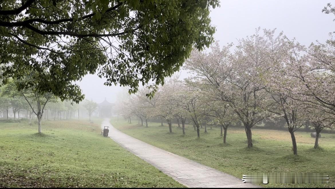 休宁横江公园励志广场｜免费的神仙露营地！清晨仙气弥漫，江景绝美，治愈人心✨
来休