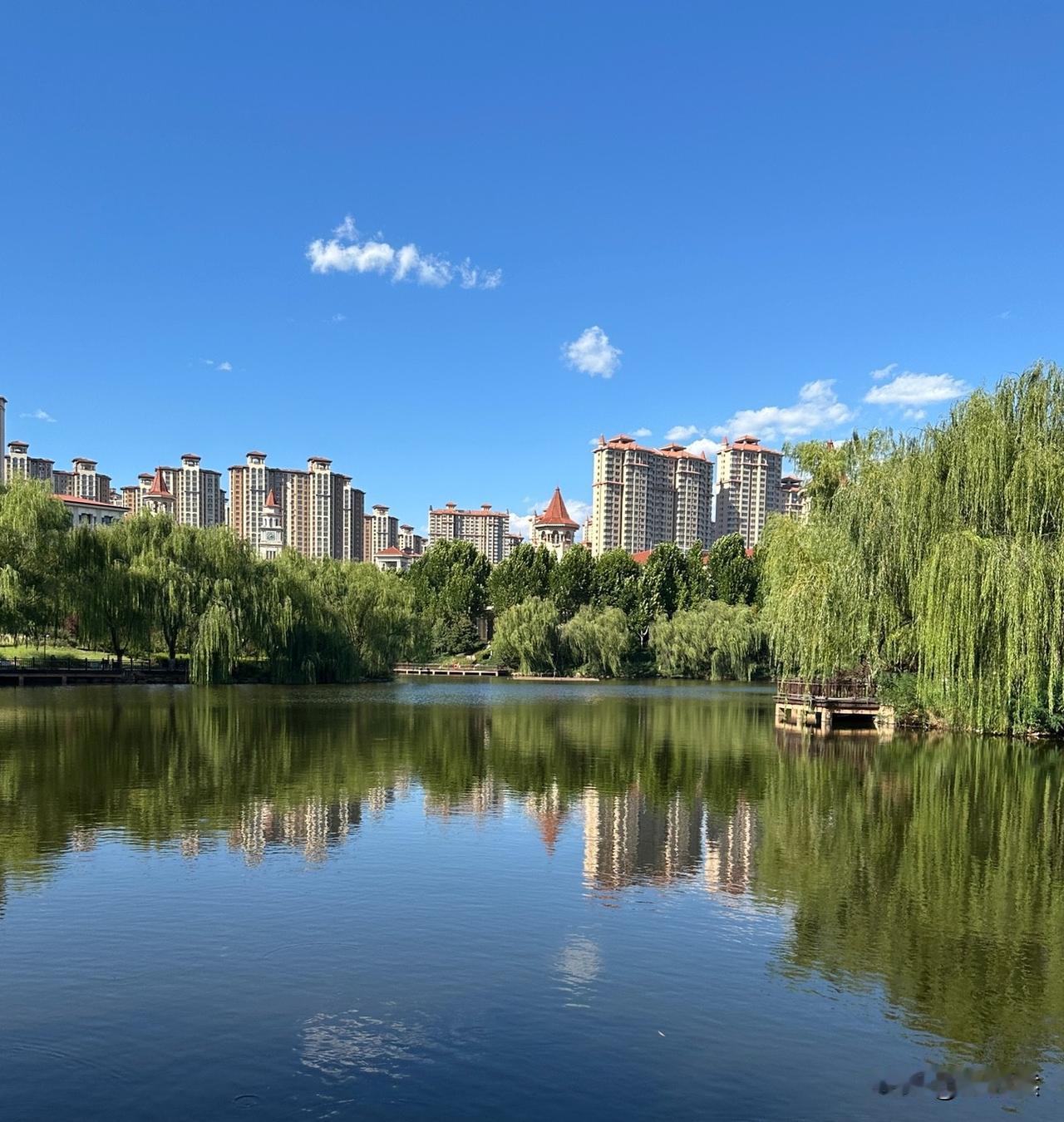 太矫情的人真的挺招人烦的，说白了，就是混搅搅。

我们单元里的电动车很多，很多人