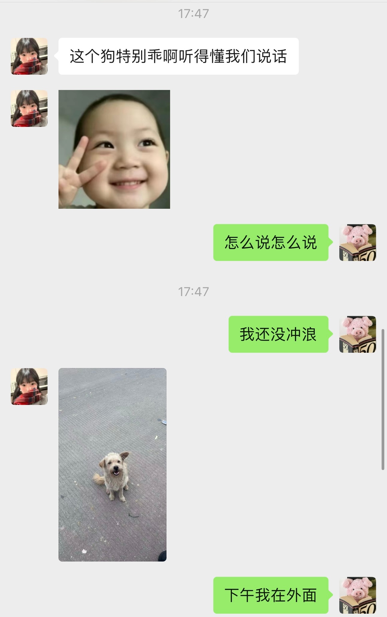 论黄子弘凡小狗塑有多么深入人心p1我真的以为泡泡要和我说狗宝的事情