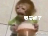 满心期待的票竟被莫名抢走，愤怒与不甘交织，是谁坏了这场期待，定要揪出这“抢票元凶