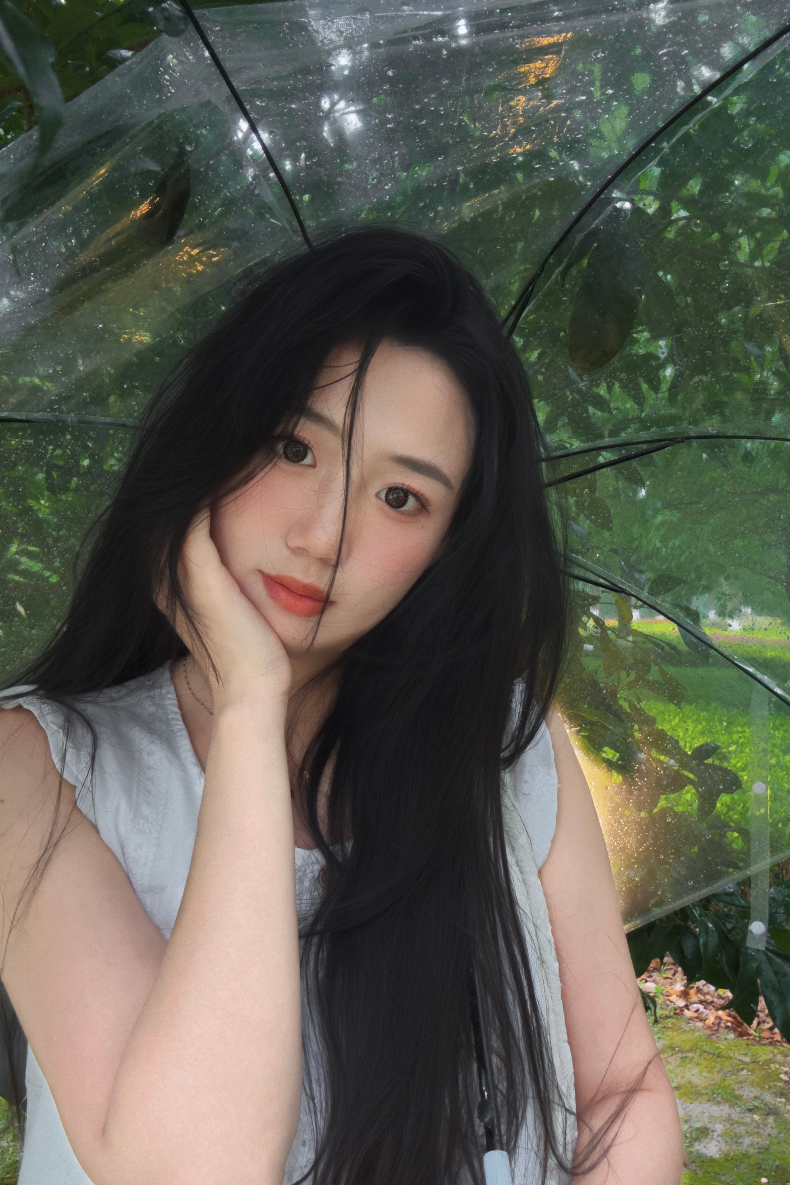 湿漉漉的夏天 ​​​