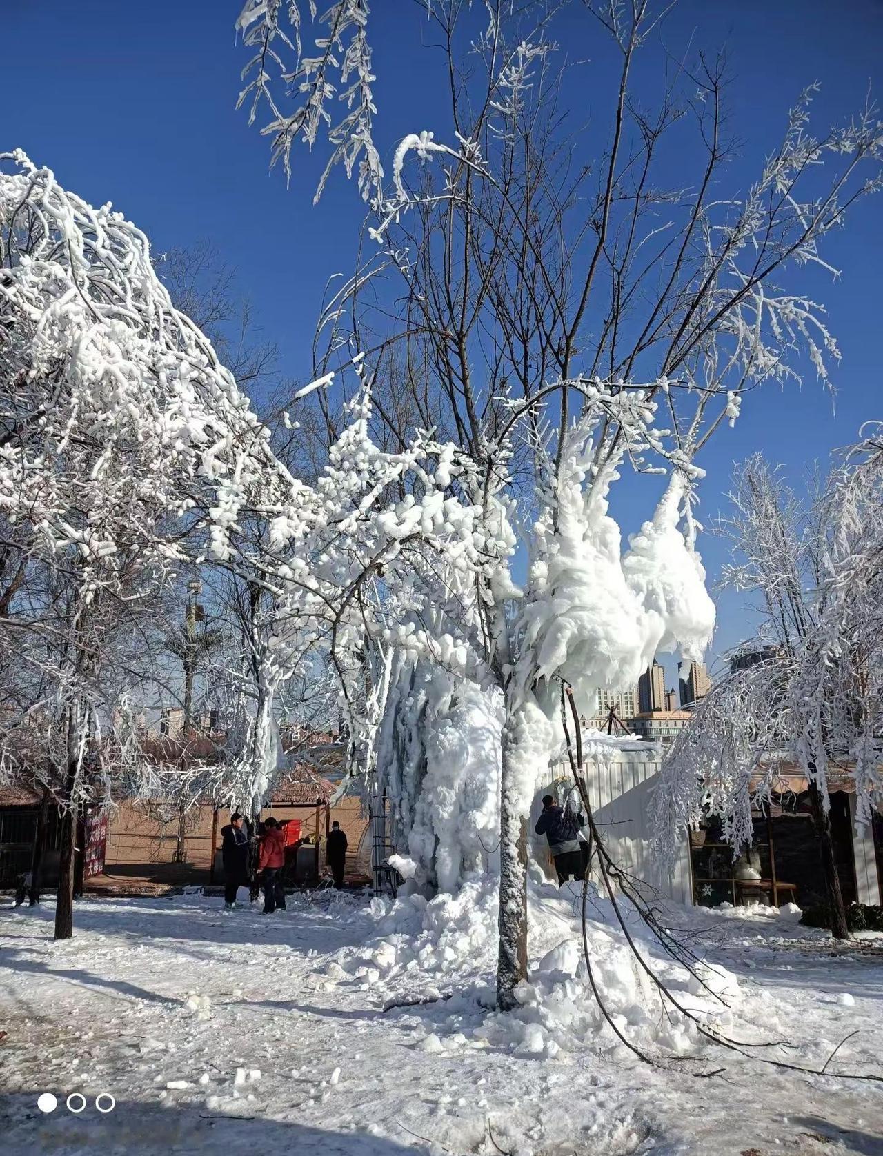 冬天的美。冬天雪景欣赏 风景图