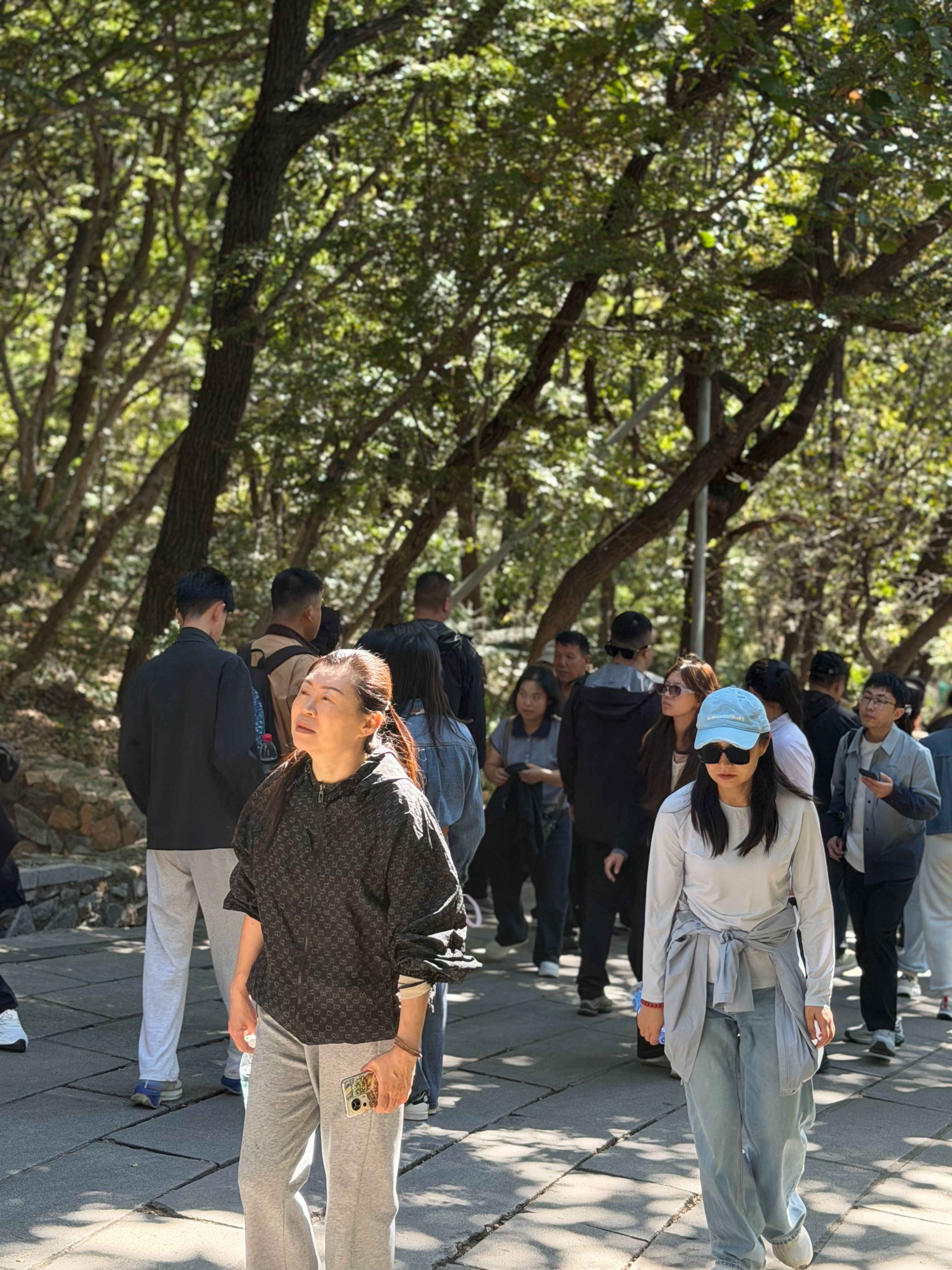 东北的晚秋是真不磨叽啊，天蓝得敞亮，风吹得痛快，大孤山往那儿一站，利利索索的。树