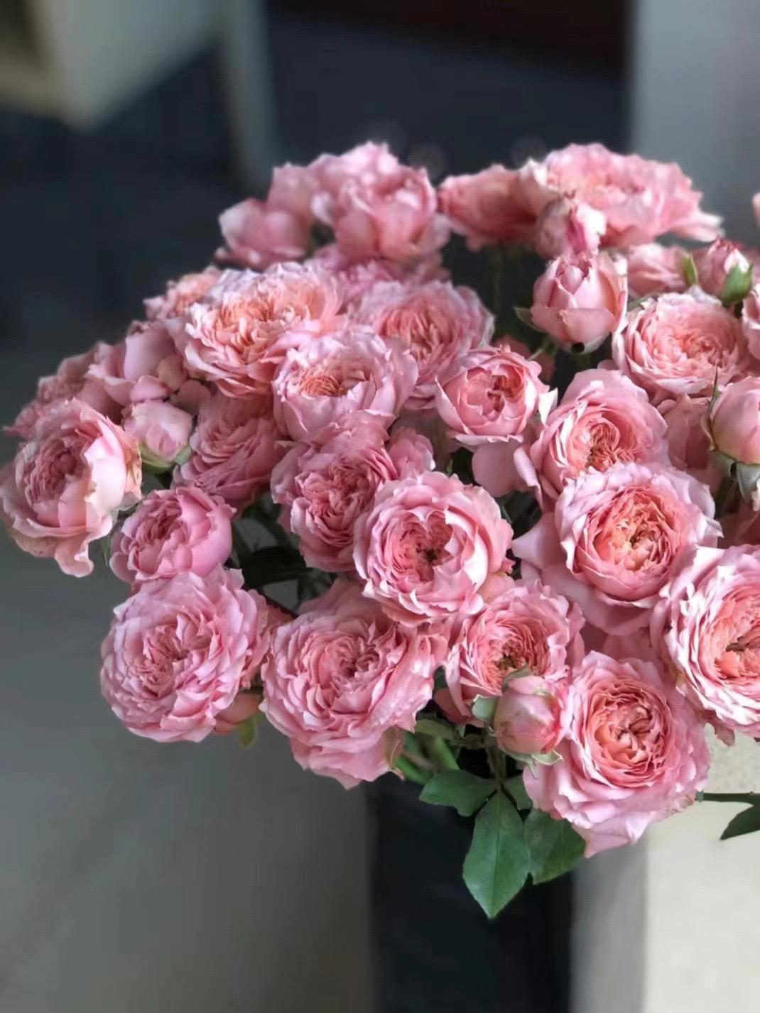 “春天 是开始 是希望 是既往不咎 是来日方长”
不期待任何惊喜的发生， 只希望