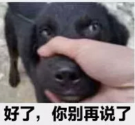 车企高管谈速成车乱象 这是大实话！经济可以讲效率，生命安全必须讲至上！