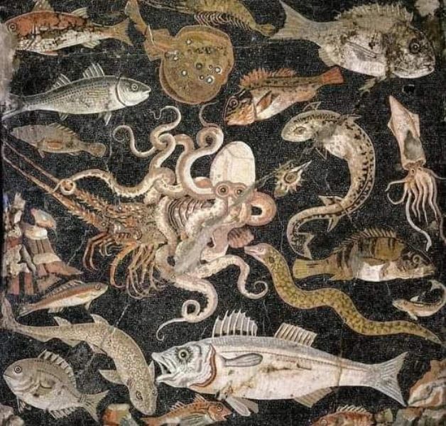 罗马马赛克（公元前一世纪 - 公元一世纪），被称为海洋生物马赛克，发现于庞贝城的...