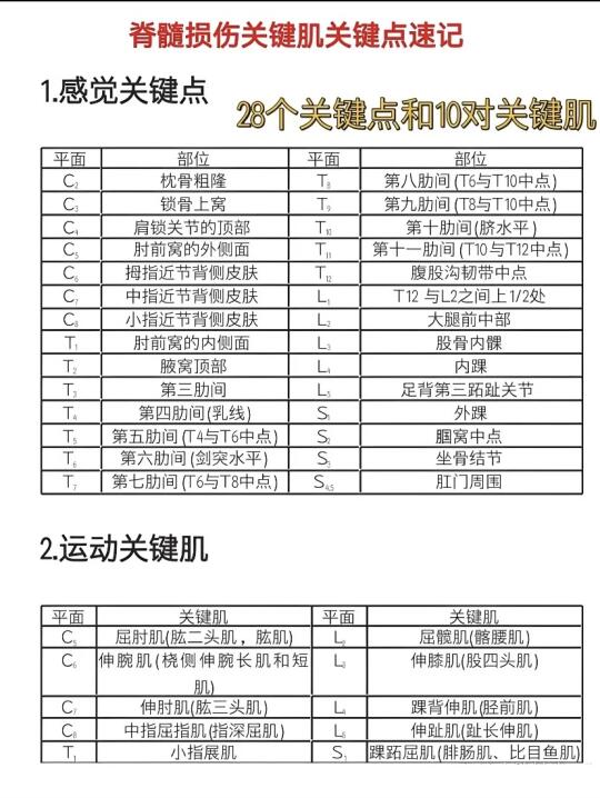 脊髓损伤关键点VS关键肌速记