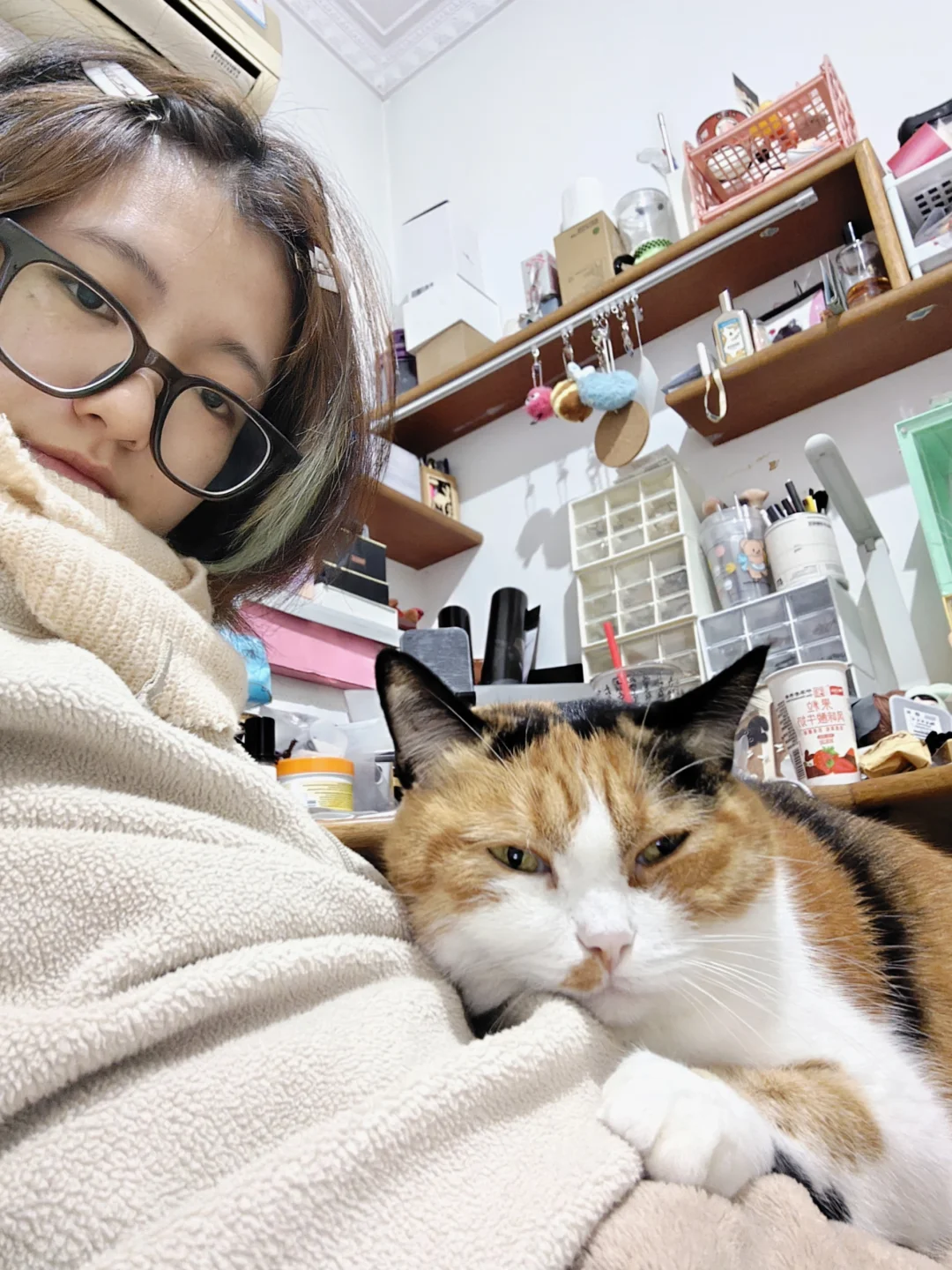 研究表明，人和猫的粑粑味道