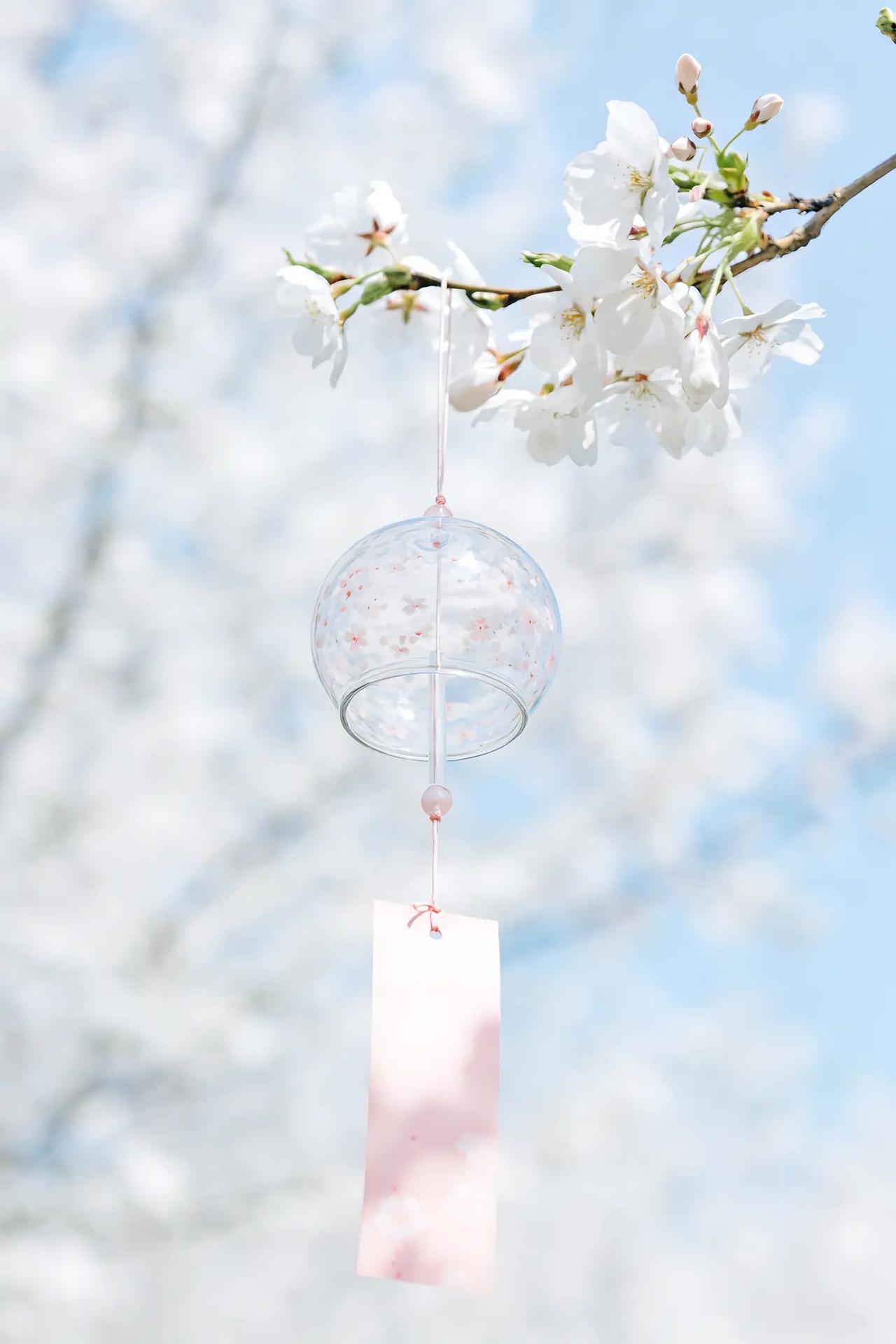 今天，一位高三学生家长和我聊了起来，他家孩子想报师范专业，问我现在还值不值得报考