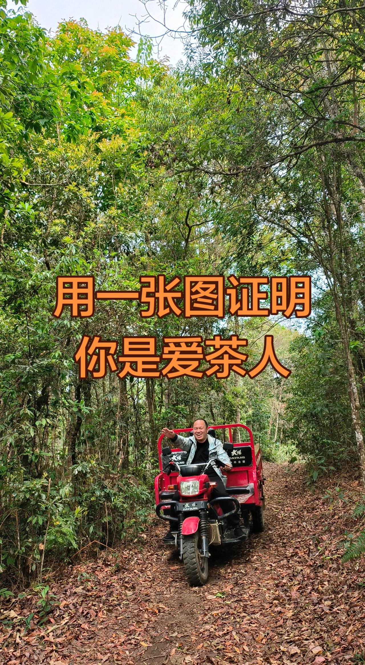 骑上我的小骆驼，带你去看日不落。