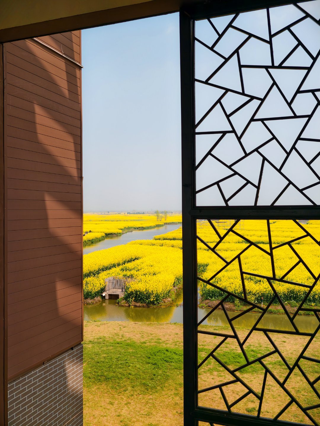 也跟风拍了几张带油菜花的照片你们觉着如何？清明节