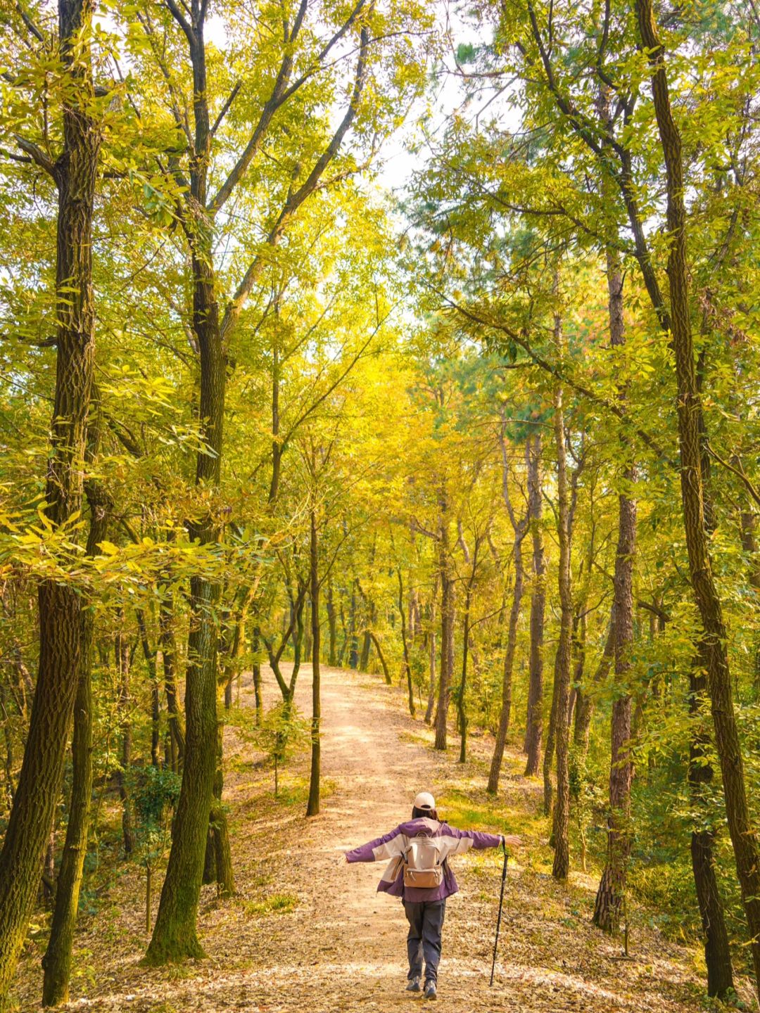 武汉 未被发掘的冷门徒步地/秋意正浓🍂