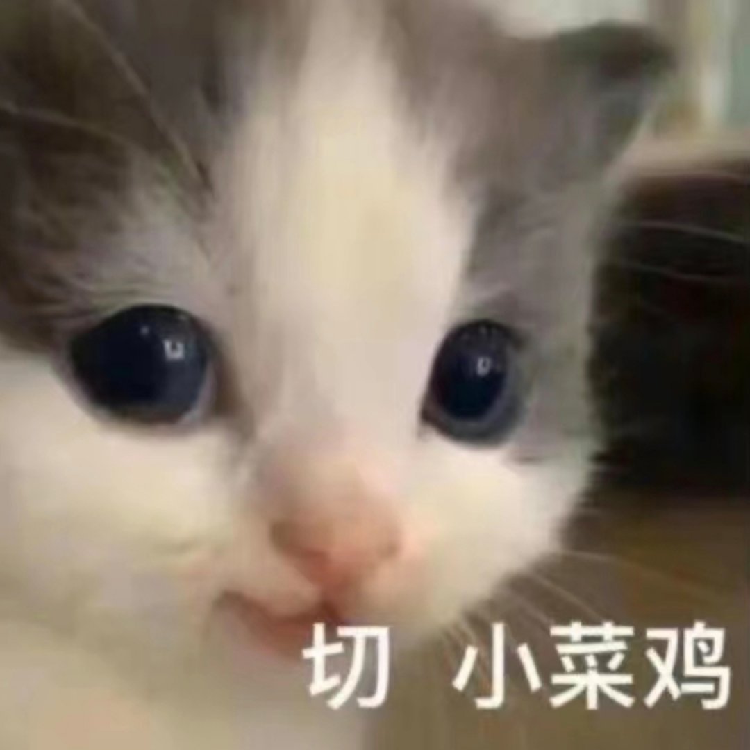 又对我们小厨子进行学历歧视了，自称高学历，啥啥比不过我们小厨子的不该反思一下自己
