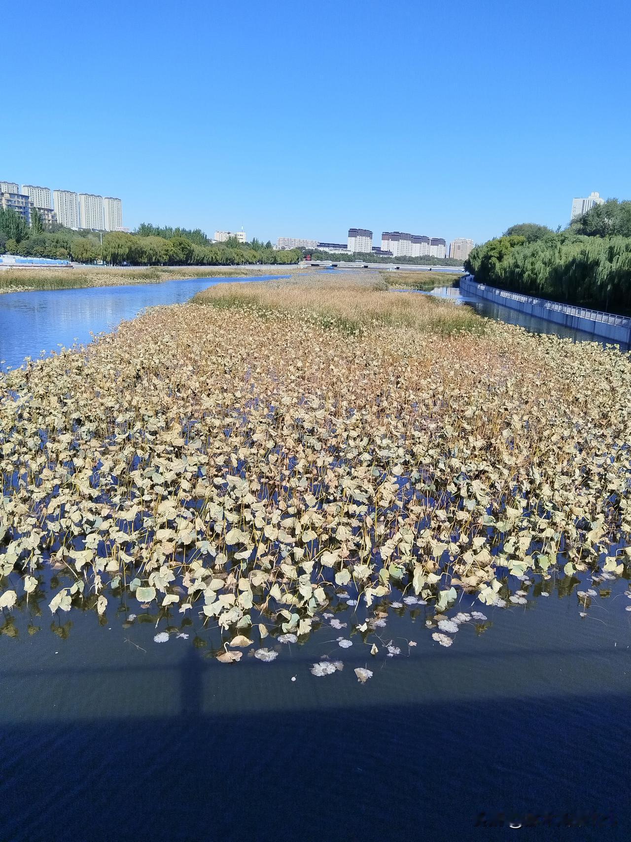 上联:霜降冬开启
下联:…请君赐墨