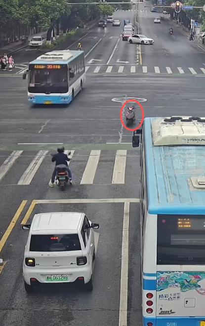 "国服孙策开大了？" 近日，湖南益阳，在一处繁忙的十字路口，一辆白色轿车正在等红