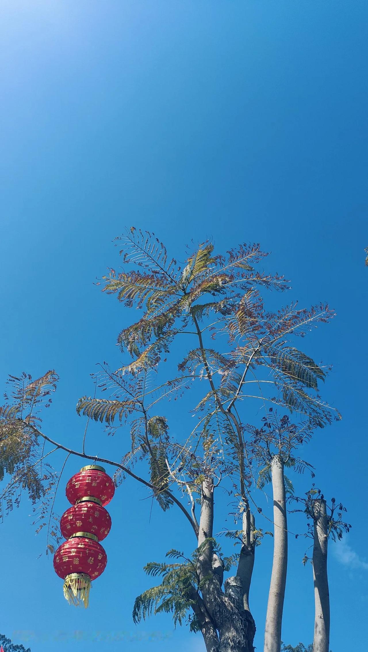 今天看到一句话，一个家长投诉是家长的问题，多个家长投诉可能就是老师的问题。
别说